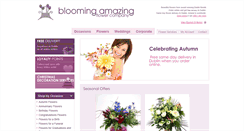 Desktop Screenshot of bloomingamazing.ie