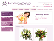Tablet Screenshot of bloomingamazing.ie